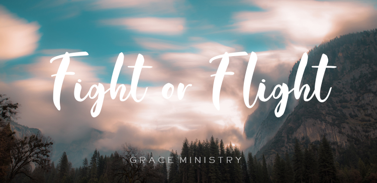 Begin your day right with Bro Andrews life-changing online daily devotional "Fight or Flight" read and Explore God's potential in you